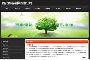 西安百迅電梯有限公司